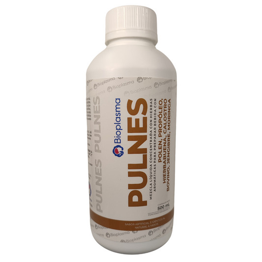 PULNES CONCENTRADO PREMIUM 500ML