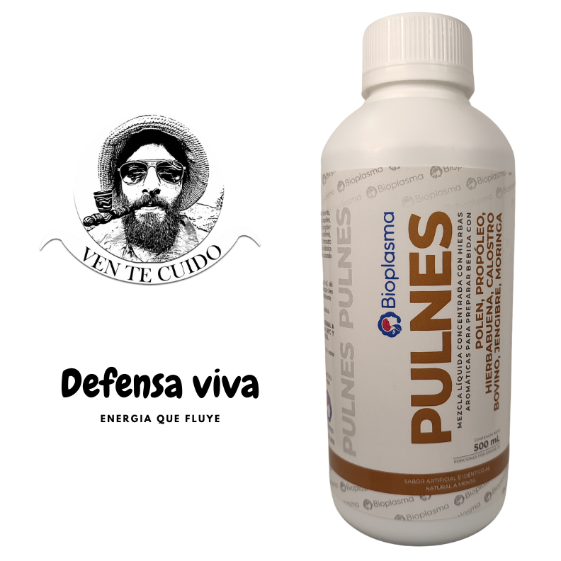 PULNES CONCENTRADO PREMIUM 500ML